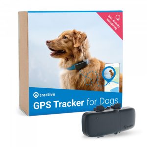 Tractive Hund GPS